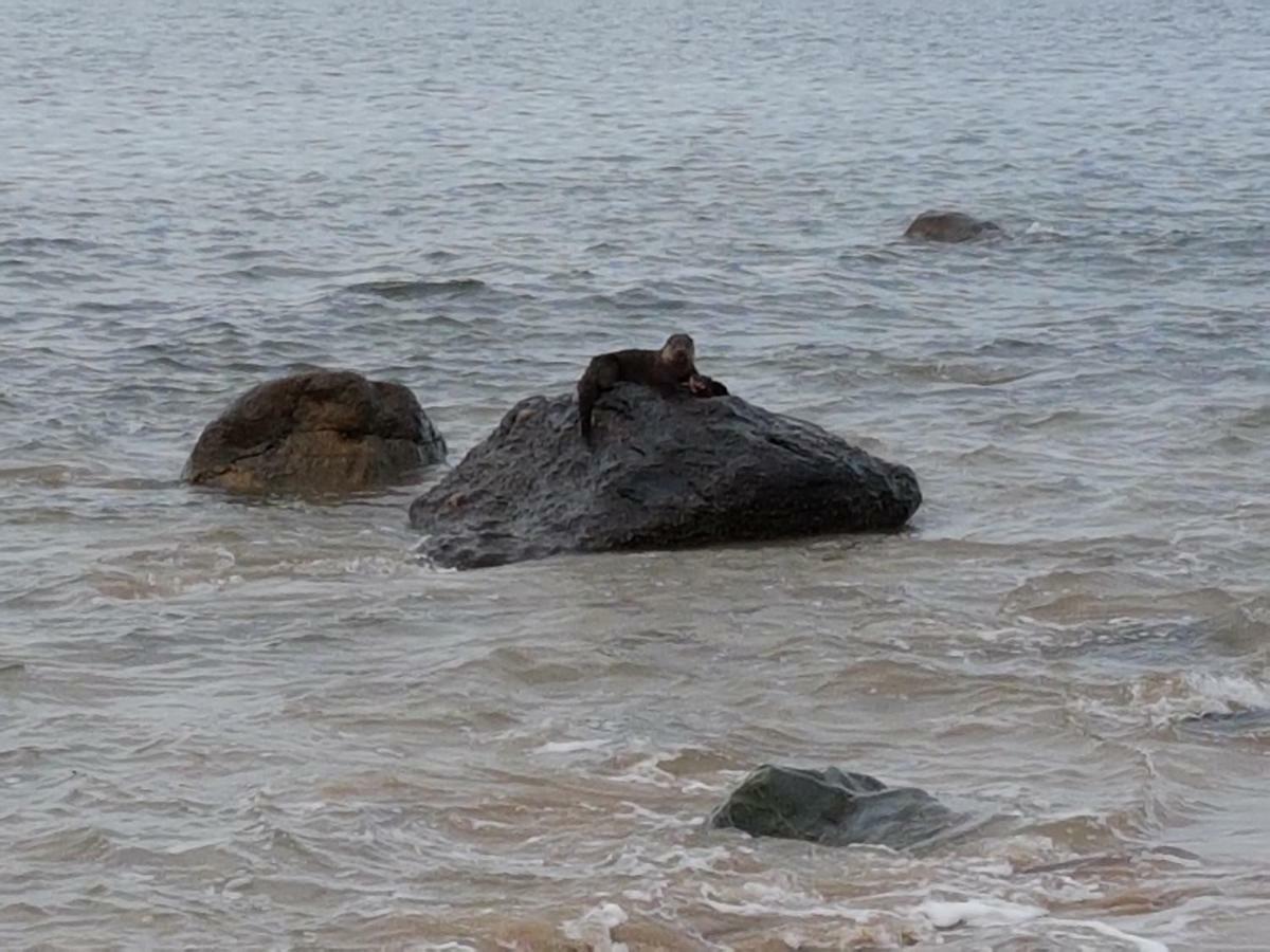 Shiskine Gairloch Dış mekan fotoğraf