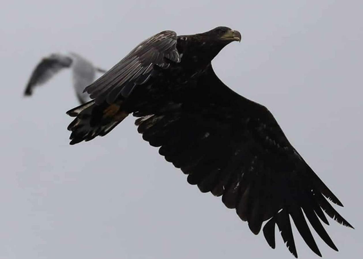 Shiskine Gairloch Dış mekan fotoğraf